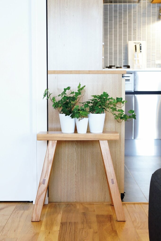 室内の雰囲気に合わせてグリーンや小物などを飾って