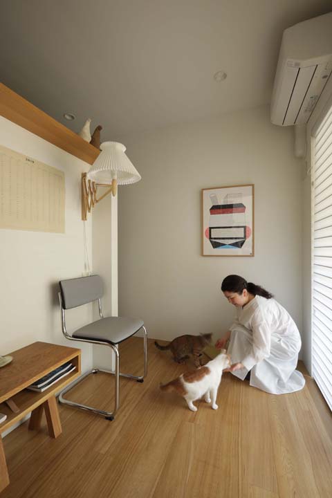 日当たりの良いワークスペースは猫たちのお気に入りの場所