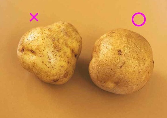 右の写真のようなふっくらと丸みのあるものを