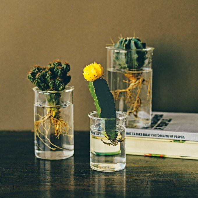 球根用フラワーベース