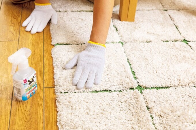 ラグの掃除