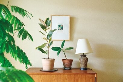 「地震に強い家」に必須の100円グッズ2つ。暮らしを変えずにできる防災術をプロが伝授