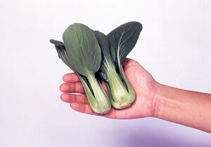 ミニチンゲンサイ