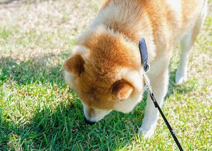 鼻息に耳を澄ませる