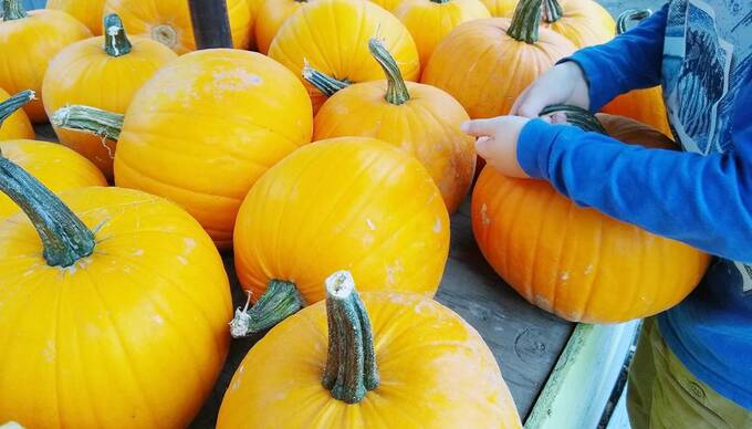 泥だらけになりながらも楽しいアクティビティー