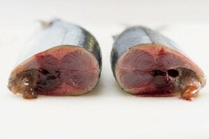 真っ二つに切った断面