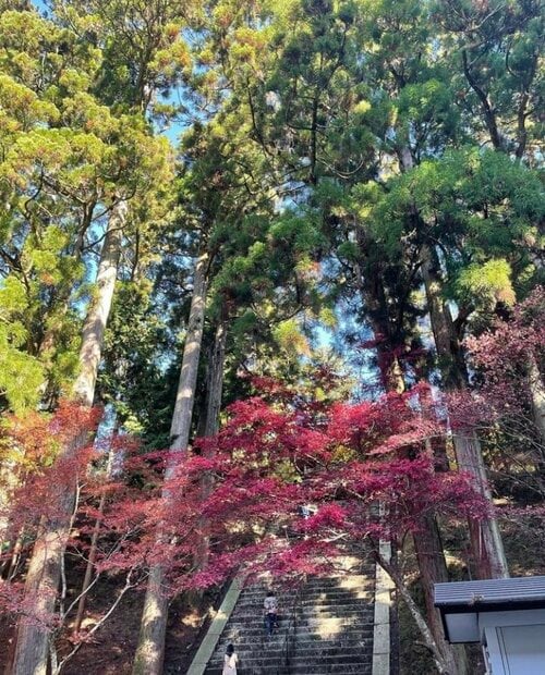 比叡山にお参りした際の写真