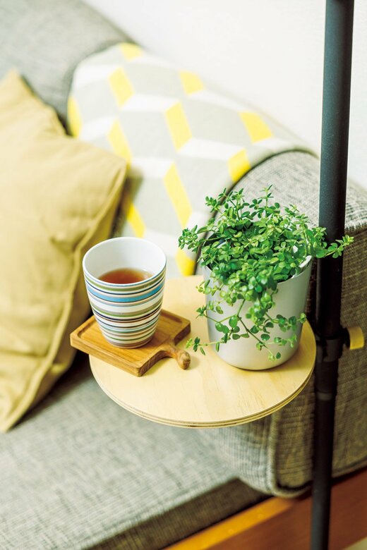 室内のグリーン