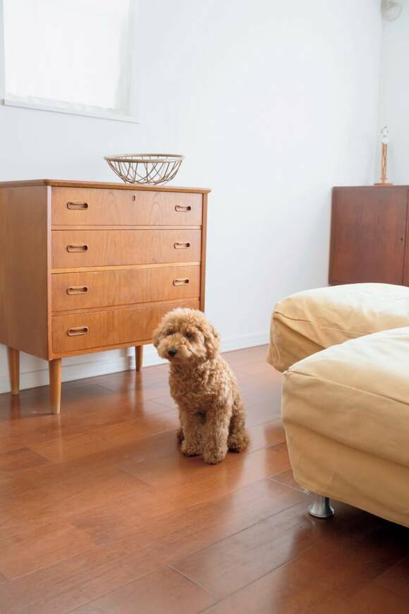 ラグやマットをなくして床面が見えるようになった様子