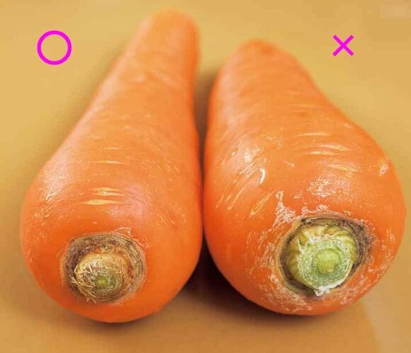 根の部分の色が鮮やかでハリのあるものを選ぶといいでしょう