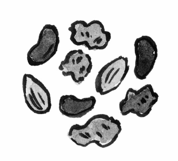 ナッツのイラスト