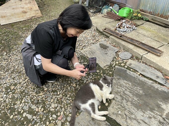 猫を撮影する川上麻衣子さん