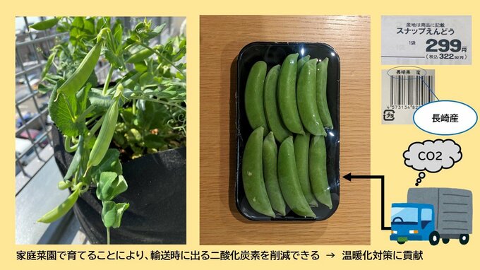 家庭菜園のメリット