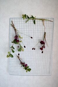 焼き網にくくりつけてドライに