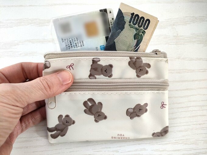 ポーチ、カードはモザイク