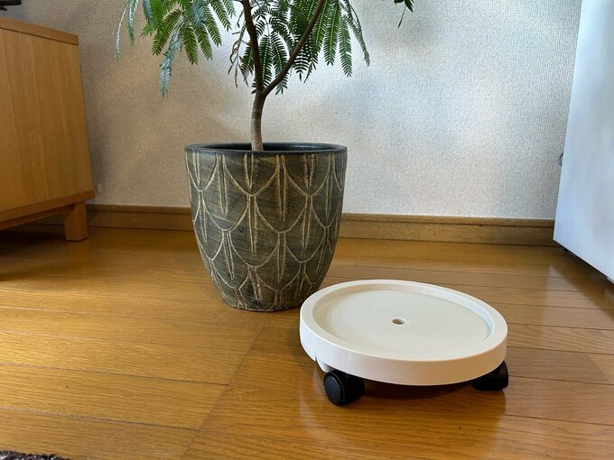 「キャスター付きトレー／Interior Green アイボリー（3COINS）」