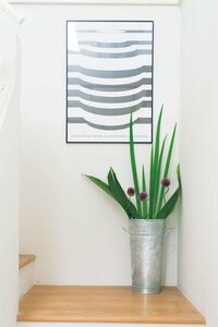 シルバーとグリーン系の植物を組み合わせる