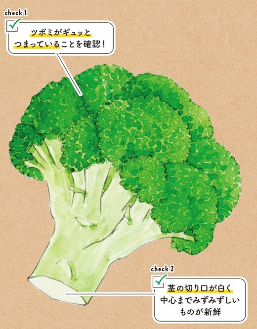 ブロッコリーのイラスト