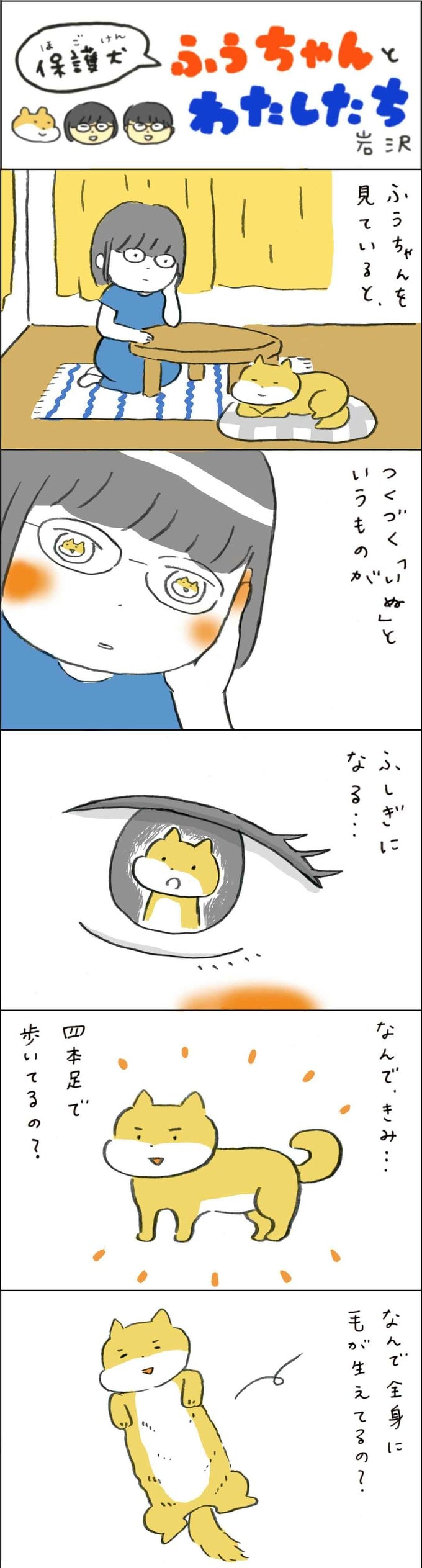 【保護犬マンガ】犬って不1思議~!暮らしてしみじみ思うふうちゃんの謎