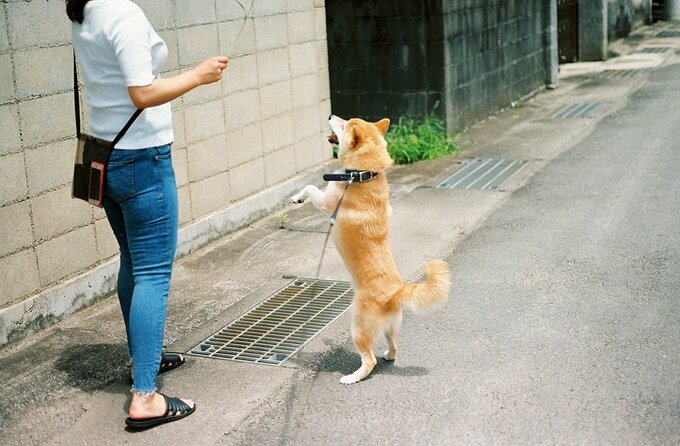大人であっても寂しい