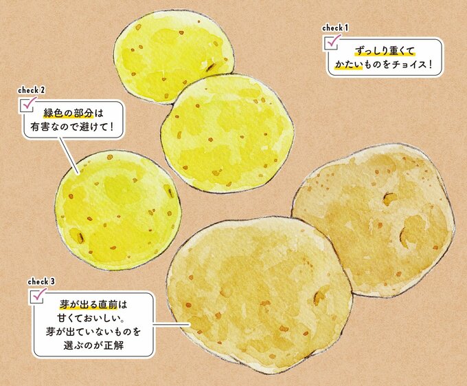 ジャガイモイラスト