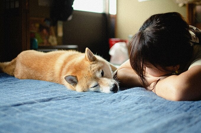 早く守られたなぁなんて笑いながら