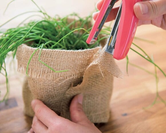 ホチキスで数か所とめて固定する