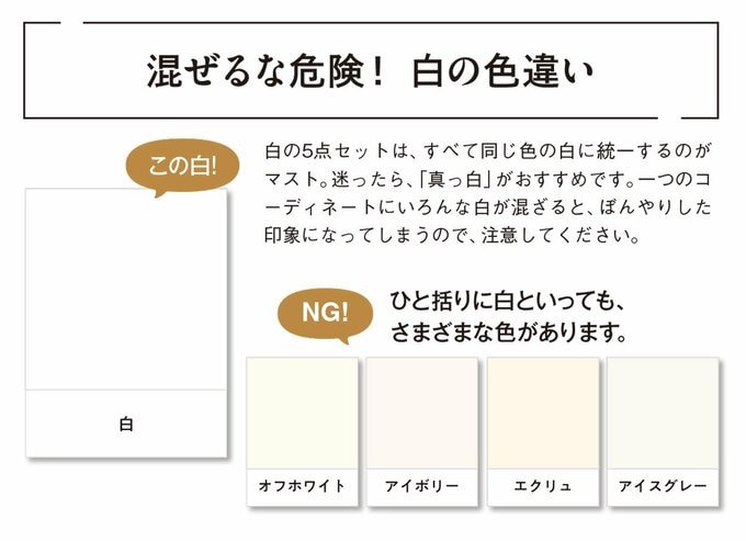 白の色違い説明図