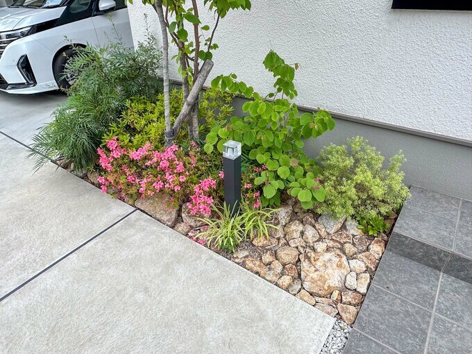 白い壁の前の庭を近くで見る