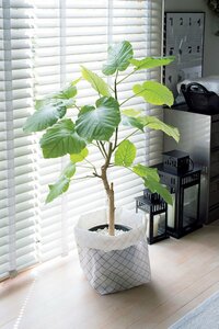 メッシュ素材のバスケットをマルチに利用