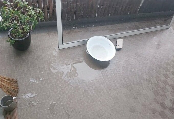 夕立などの雨を利用する