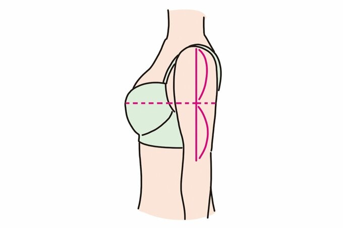 ブラジャーのトップ位置を確認するイラスト