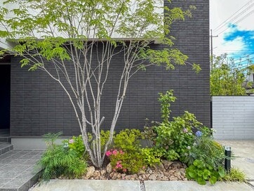 玄関前の「小さな庭」で暮らしにうるおいを。家族も行き来する人もなごむ家