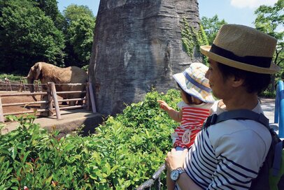 【貯め上手な人の習慣】夏のレジャー費や被服費はどう節約する？