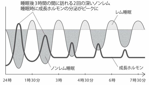 睡眠と成長ホルモンの関係