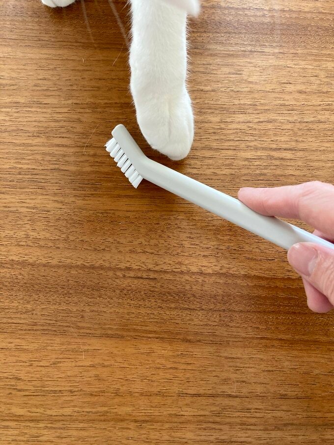 ブラシ使用シーン