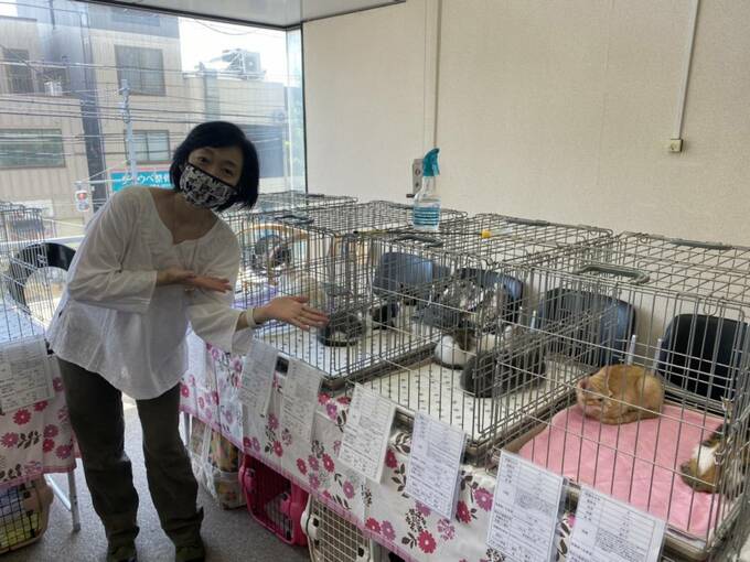 ゲージの猫を紹介する女性