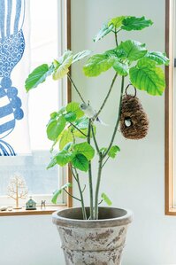 グリーンに小物を添えてアクセントに