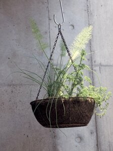 ワイヤバスケット