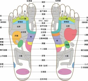 足裏を刺激したらポッコリ腹が凹んだ！O脚＆偏平足改善も！