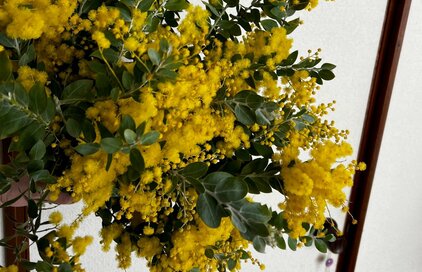 マスクは外す？ミモザが咲く3月になって考えたこと