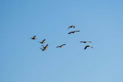 心が折れそうな人へ。人気YouTuber大愚和尚の「救いの禅語」