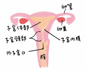 おもな病気の種類