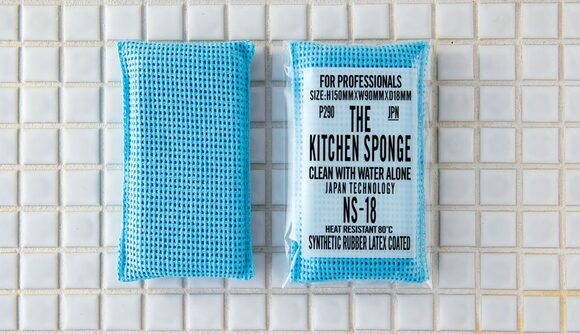THE KITCHEN SPONGE