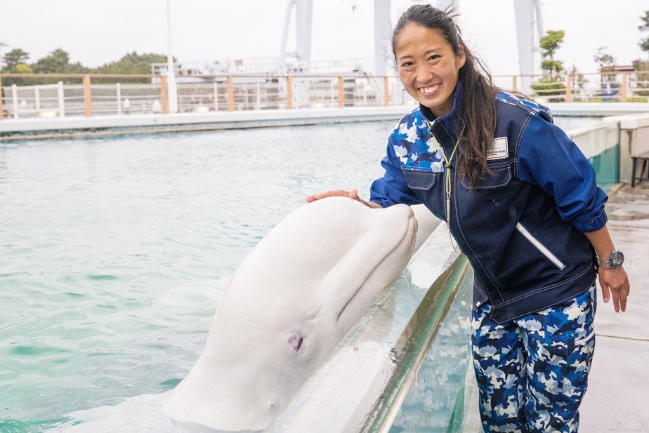 しろイルカ 4806021966266.jpg