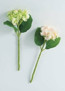 ハイドレンジア（ペール）