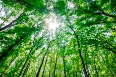 更年期の過ごし方