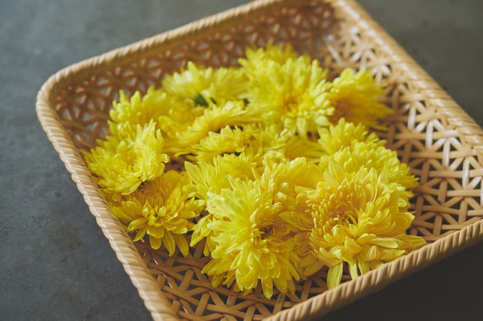 食用の菊の花