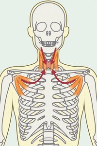 こわばった腰椎をゆるめる