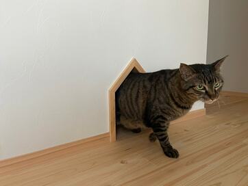 トンネルの先に、ネコのトイレを設置してみたら大成功!?人もペットもモヤモヤ解消